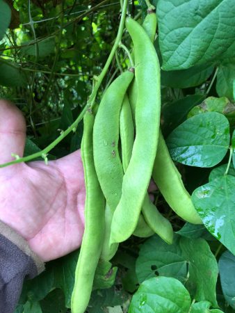 Immagine WhatsApp 2025-10-19 ore 11.09.50_ff933939