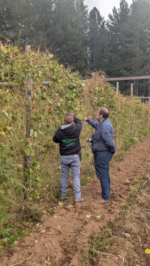 Immagine WhatsApp 2025-10-29 ore 08.05.53_f6244ea8